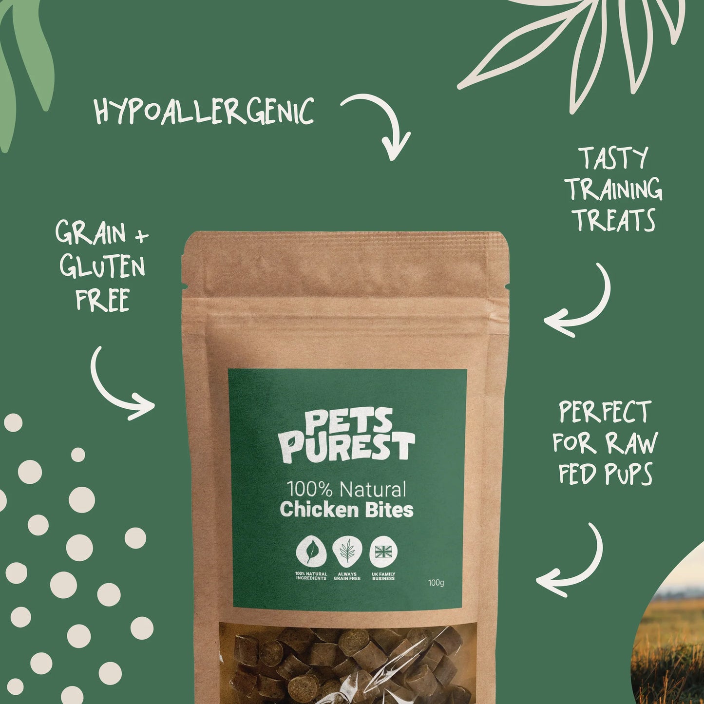 Natural chicken bites for dogs – high-protein, grain-free training treats
