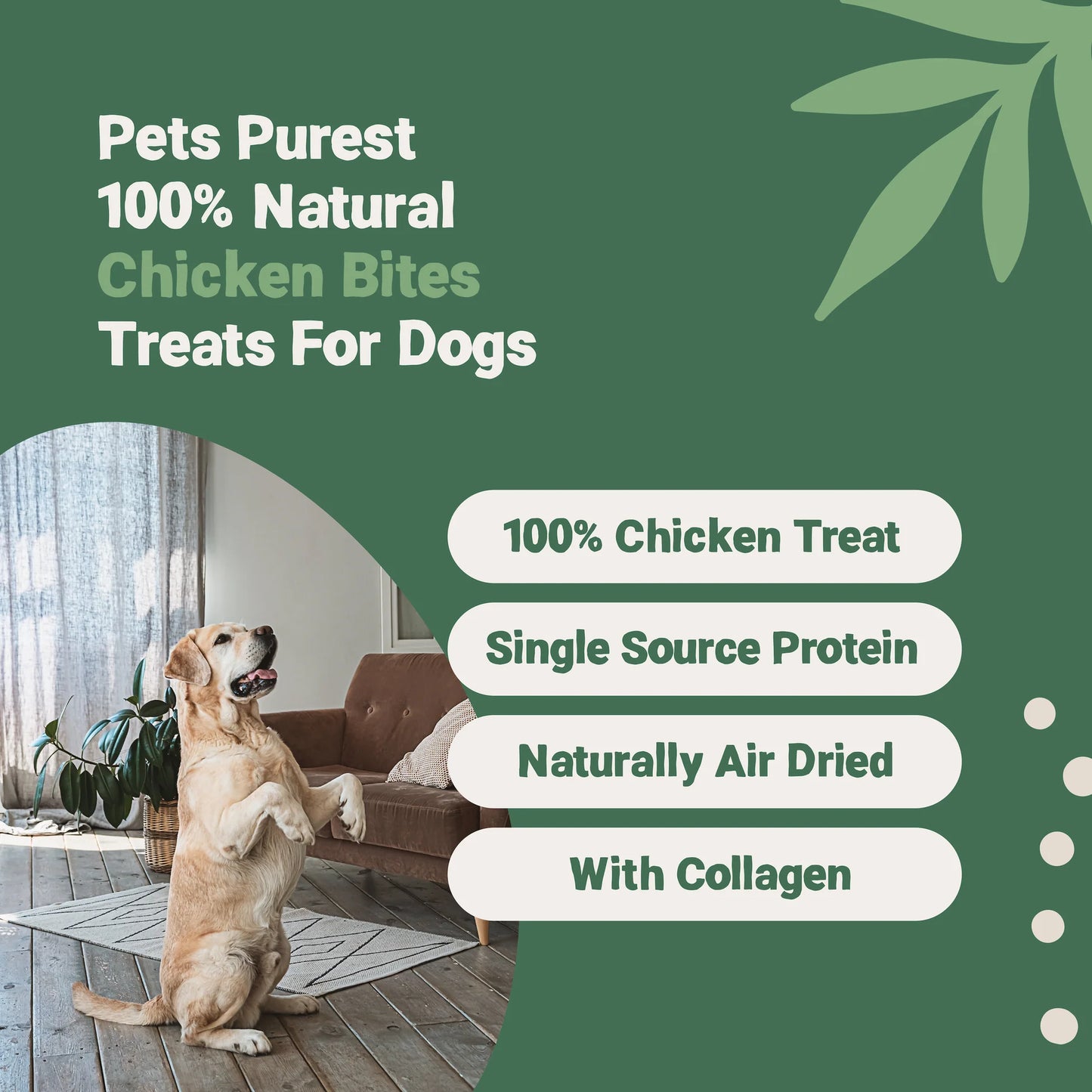 Natural chicken bites for dogs – high-protein, grain-free training treats
