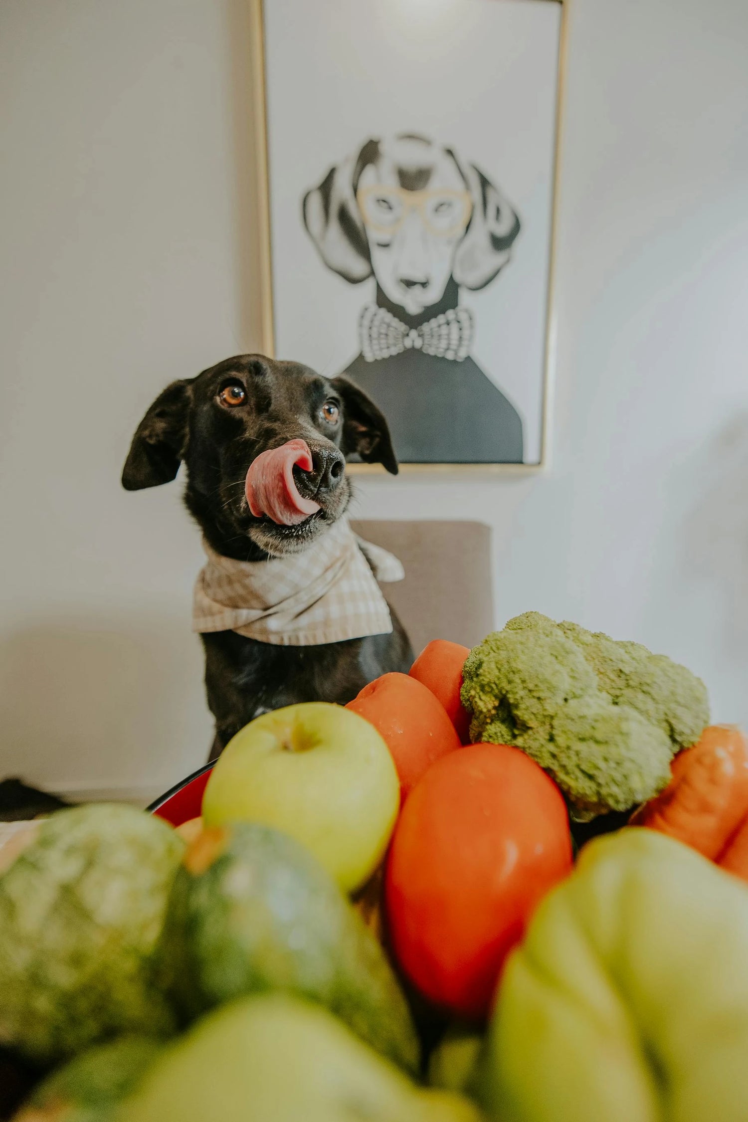 Plant-based Snacks