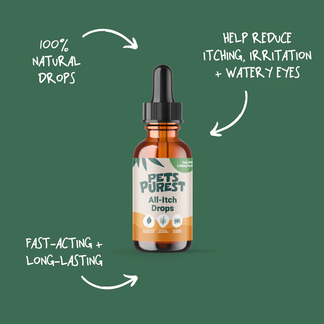 Natural All-Itch Drops for dogs and cats – herbal allergy relief with Skullcap, Ginkgo & Nettle in a non-drowsy formula