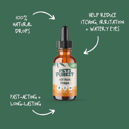 Natural All-Itch Drops for dogs and cats – herbal allergy relief with Skullcap, Ginkgo & Nettle in a non-drowsy formula