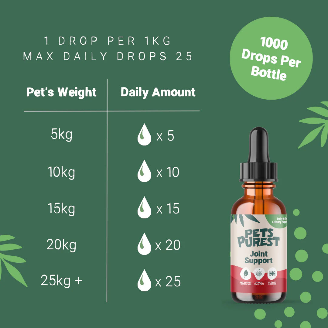 Natural Joint Support Drops for dogs and cats – turmeric, boswellia, herbal supplement for pet mobility