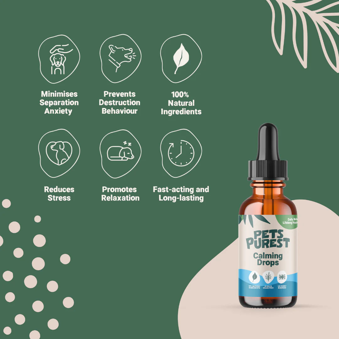 Natural calming drops for dogs and cats – fast-acting, non-drowsy herbal relief with valerian, ashwagandha, and magnesium