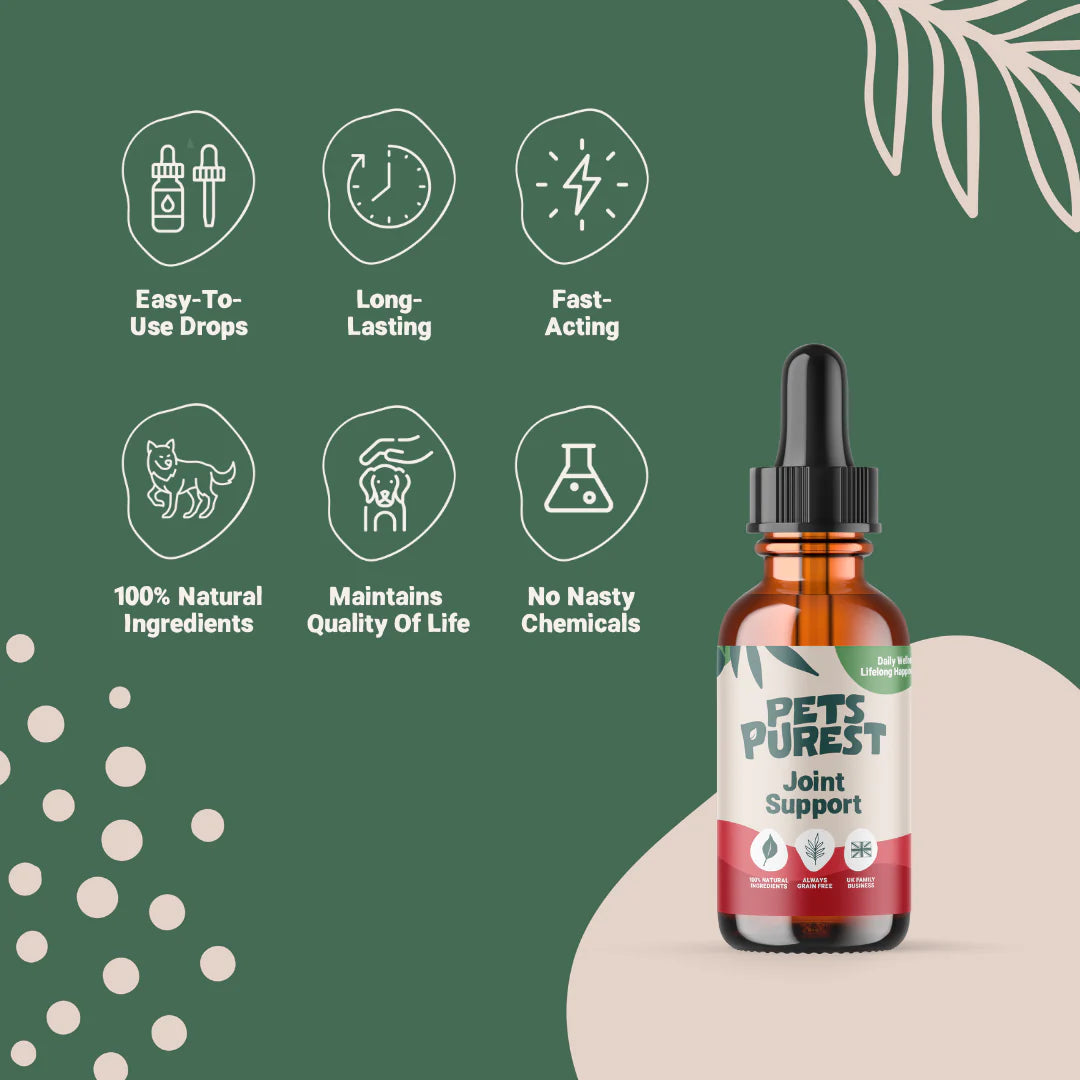 Natural Joint Support Drops for dogs and cats – turmeric, boswellia, herbal supplement for pet mobility