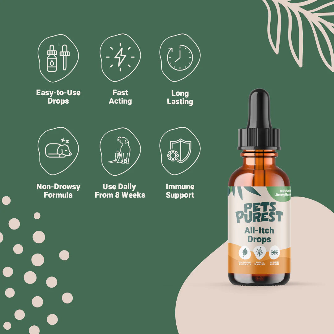 Natural All-Itch Drops for dogs and cats – herbal allergy relief with Skullcap, Ginkgo & Nettle in a non-drowsy formula