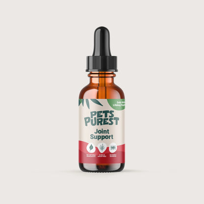 Natural Joint Support Drops for dogs and cats – turmeric, boswellia, herbal supplement for pet mobility
