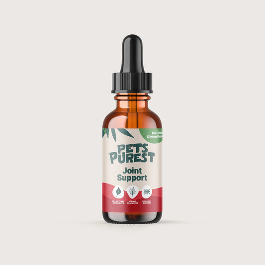 Natural Joint Support Drops for dogs and cats – turmeric, boswellia, herbal supplement for pet mobility