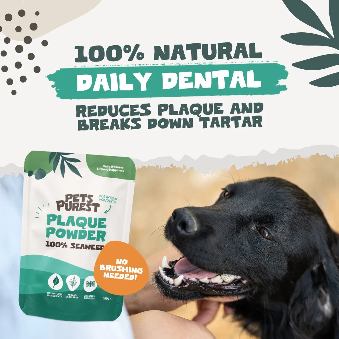Natural seaweed plaque powder for dogs and cats – supports clean teeth, fresh breath, and long-term dental health without brushing