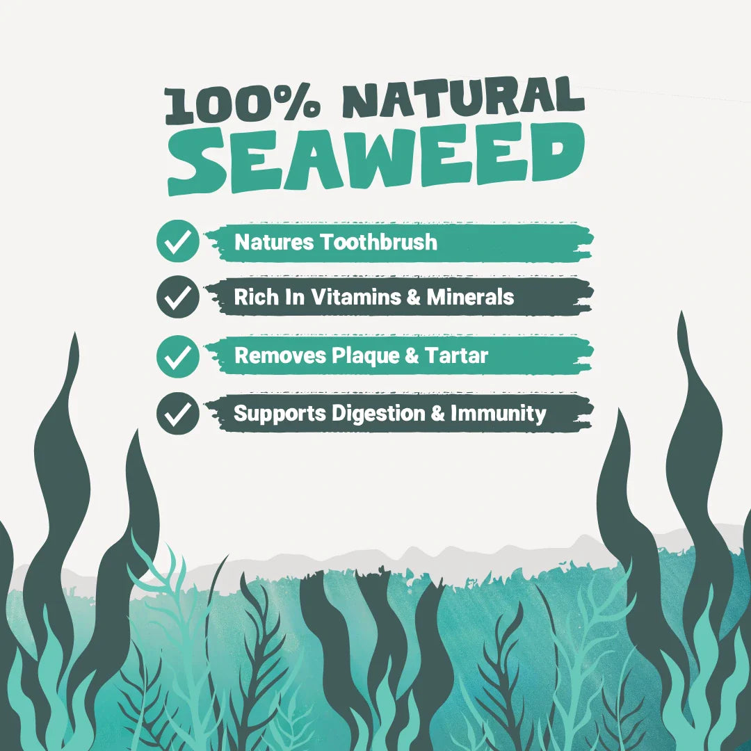 Natural seaweed plaque powder for dogs and cats – supports clean teeth, fresh breath, and long-term dental health without brushing