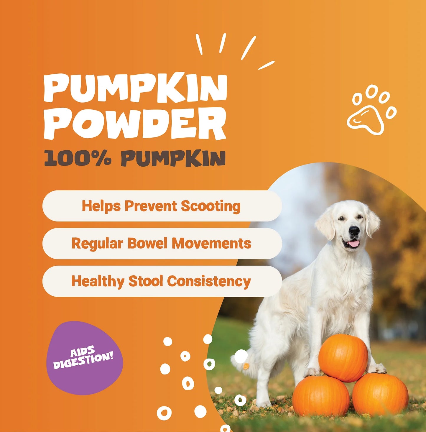 Pumpkin Powder