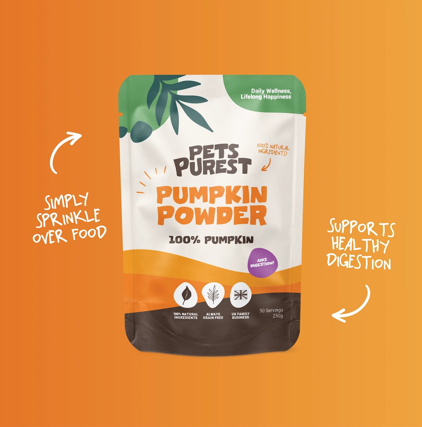 Pumpkin Powder