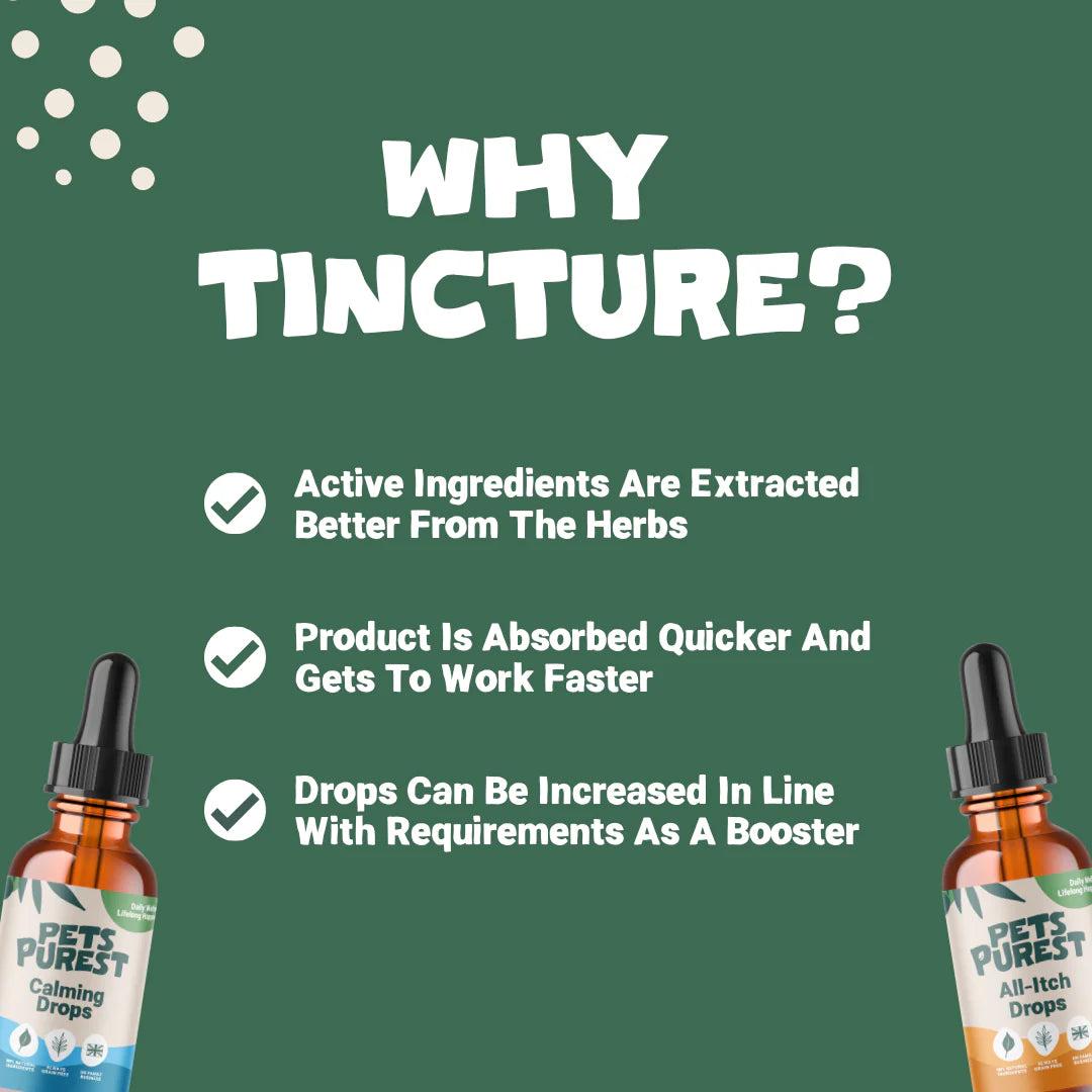 Natural calming drops for dogs and cats – fast-acting, non-drowsy herbal relief with valerian, ashwagandha, and magnesium