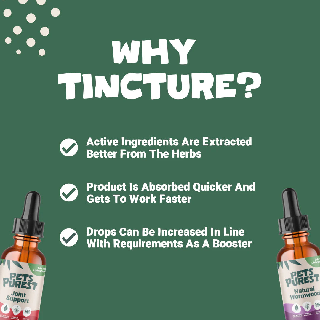 Natural Joint Support Drops for dogs and cats – turmeric, boswellia, herbal supplement for pet mobility